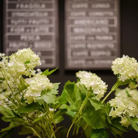 Appartamento Lella 2 - Duplex - Epicenter Of